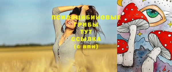 наркотики Новозыбков