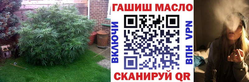 купить наркоту  сайты даркнета официальный сайт  ТГК THC oil  Заполярный 