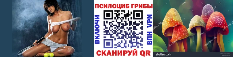 ссылка на мегу   shop наркотические препараты  Галлюциногенные грибы GOLDEN TEACHER  Заполярный 